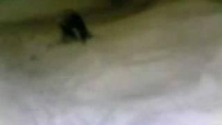 Черня часть два =)