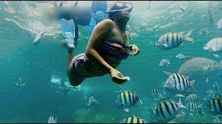 HD Snorkeling heaven Norman Island Caves - British Virgin Islands