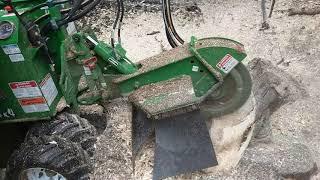 Bandit 2550 Stump Grinder