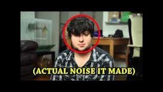 JonTron-ACTUAL NOISE MADE (2017)