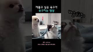 열 받을때 보면 사르르 녹아용