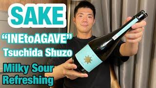 SAKE Brewery and Drinking 85 | INETOAGAVE, TSUCHIDA Shuzo from Akita & Gunma in Japan 【英語】