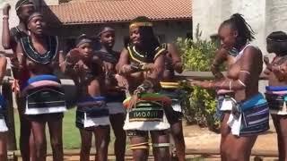 Cultural Ceremony Of the Ndebele tribe #Ndebele #Traditionaldance #zuludance #yabantu