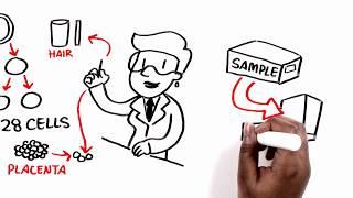 What is Preimplantation Genetic Screening (PGS)? - Bourn Hall Clinic and Cooper Genomics