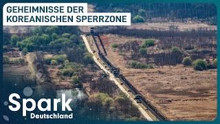 Korea Doku: So sieht es in der Todeszone aus! | Spark Deutschland