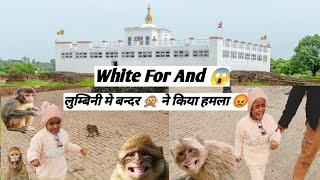 Lumbani Me Bandaro  Ne Kiya Hamla  My Fast Vlogs लुम्बिनी में बंदरो ने किया हमला Angry Langur 