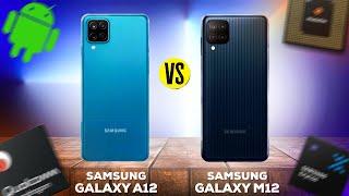 Samsung A12 vs Samsung M12