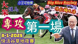 香港賽馬 專攻第一場 8-1-2025 快活谷草地夜賽 (全場分析拆局，是次策略: WP馬胆一拖二)