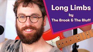 The Brook & The Bluff - Long Limbs  |  FairWell Festival  |  JoyRx Music