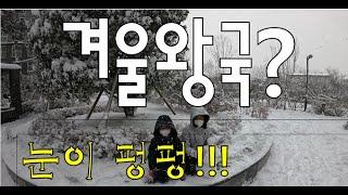 함박눈이 펑펑 !! 겨울 눈썰매 타기