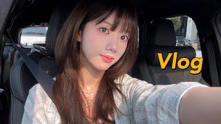 vlog 친구들과 해외여행 계획•조카랑 할머니랑 송편 만들기•여행짐싸기