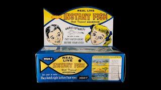 Instant Fish