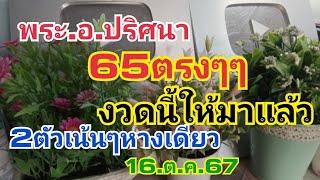 พระอ.ปริศนา.ปล่อยมาแล้วด่วน2ตัว16.ต.ค.67