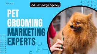 Pet Grooming Marketing Experts - Ad Campaign Agency