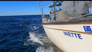 Sailing from Pillar Point to Monterey Bay (ep. 11)