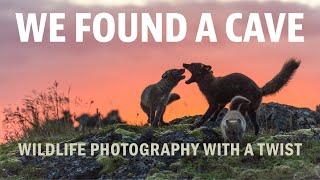 WE FOUND A CAVE WHEN SEARCHING FOR ARCTIC FOXES | Wildlife photography with a twist.