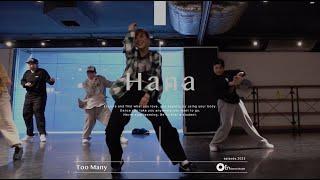 Hana " Too Many / Tyga " @En Dance Studio SHIBUYA