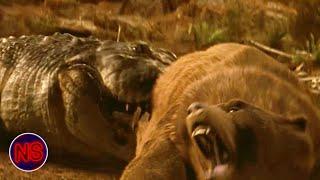 Grizzly Bear vs Giant Crocodile Battle | Lake Placid | Now Scaring