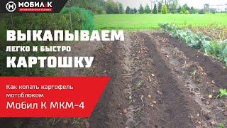 Выкапываем картошку легко и быстро! Как копать мотоблоком! Мобил К МКМ-4