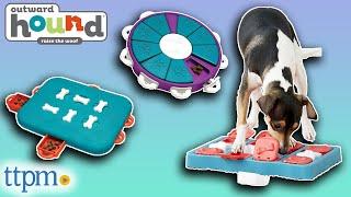 Dog Brain Games Review 2021 from Outward Hound's Nina Ottosson Line | TTPM Pet Review