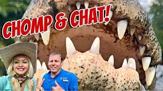 CHOMP & CHAT Alligator Feeding!