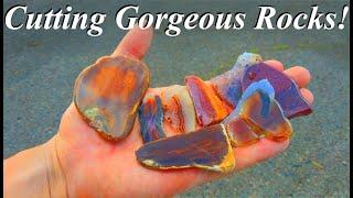 SLABBING and Cutting Gorgeous Agates, Jaspers, Fossils, & More! Rocks Coming out of The Tumbler Too!