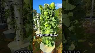 Как сделать грядку из трубы своими руками #дача #сад #огород #рассада #зелень #растения