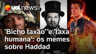 Haddad vira meme: o que está por trás de posts como 'bicho taxão' e 'taxa humana' sobre o ministro