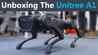 Unboxing a Low-Cost Robot Dog!