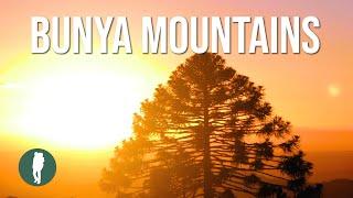 Bunya Mountains in HD