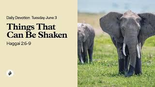 Things That Can Be Shaken – Daily Devotional
