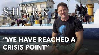 A Deep Dive into Shark Conservation with Steve Backshall