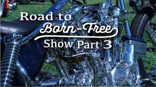 Road to Born Free Part 3, The Show!