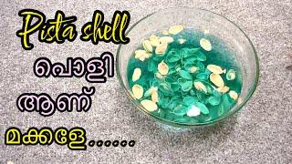 I soaked some Pista shells and made these… | DIY Pista shell Craft ideas | Best out of Waste Craft