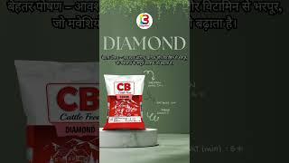"Why Farmers Trust CB Agro Food | Premium Cow Feed Solutions"