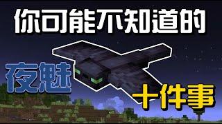 你可能不知道的夜魅10件事!!!【秋風麥塊生物學】