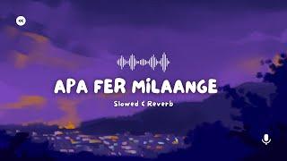 Apa fer Milaange  | Slowed & Reverb | New Punjabi Songs 2024