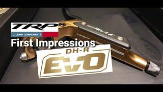 TRP DH-R Gold | First Impression | Trailer