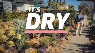 Culver City Maintenance | Tips for Dry Santa Ana Winds