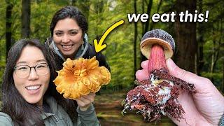 Finding Wild Mushrooms  The BIGGEST Chanterelle We've Ever Seen!