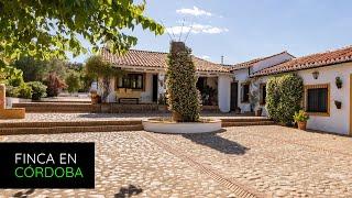 Vendida - Finca de recreo de 105 hectáreas en venta en el Valle del Guadiato, Córdoba P2834