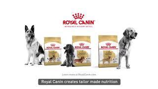 Royal Canin Breed Health Nutrition DVC 2H 2021 15s (Philippines)