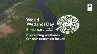 Restoring 10,000 Hectares of Mangroves by 2030 | #WorldWetlandsDay2025