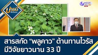 สารสกัด "พลูคาว" เสริมภูมิต้านทาน ต้านทานไวรัส! มีวัจัยยาวนาน 33 ปี | บ่ายนี้มีคำตอบ (18 มิ.ย. 64)