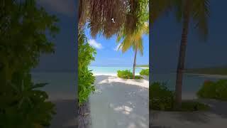Which place would you choose #aesthetic #aurora #relaxing #travel #vibes #shorts