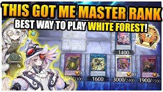 White Forest is *STILL* Broken! | Master Rank WF FS Azamina Deck profile | Yu-Gi-Oh! Master Duel