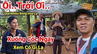 Quá Trời.. Kì Lạ.. Xuống Cốc Của Thầy Lại Có Điều Lạ Này Tại Cóc Của Thầy Ẩn Tu Trên Vườn Sầu Riêng