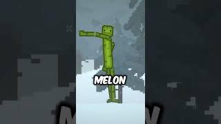 BEST MELON MODS!! #melonlpaygroundupdate #allachievements #melon