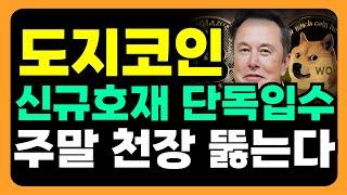 [도지코인 전망] 신규호재 단독입수!!!!!!!!! 이번 '주말' 자다가도 반드시 집중해야하는 이유