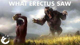 Extinct Animals Encountered by Homo Erectus (ft. ExtinctZoo)